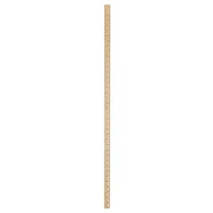 Acme Yard / Metre Stick Ruler (Î)