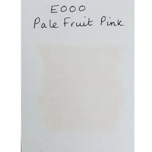 Copic Ciao Marker - E000 Pale Fruit Pink