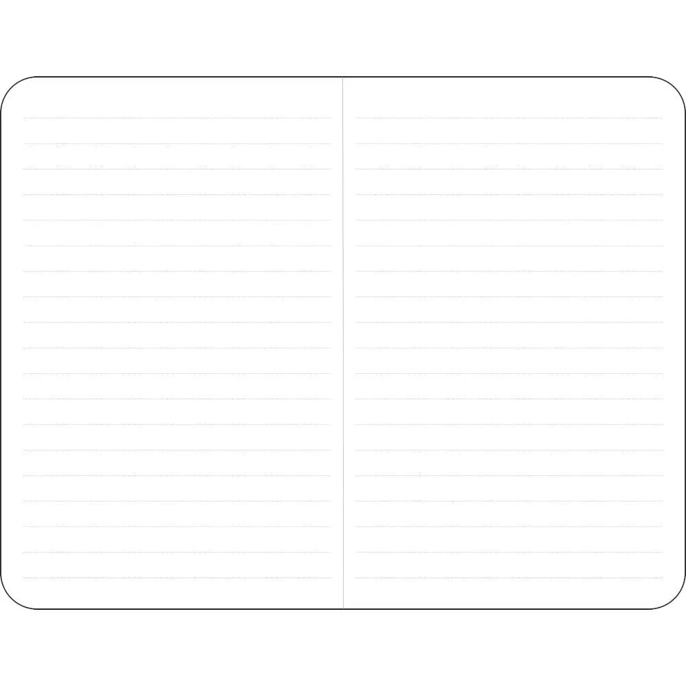 Peter Pauper Press Jotter Mini Notebooks 3pk - Foil