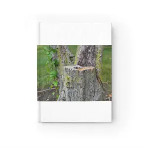 Tree Stump Journal - Ruled Line