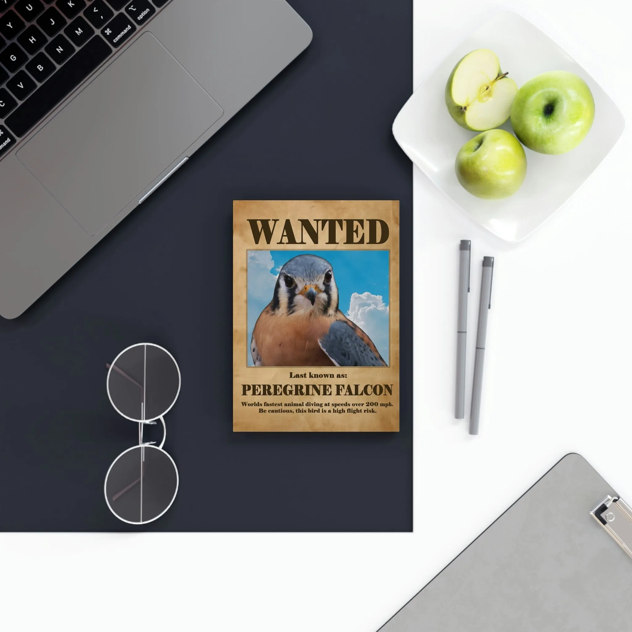 Wanted: Peregrine Falcon Hard Backed Journal