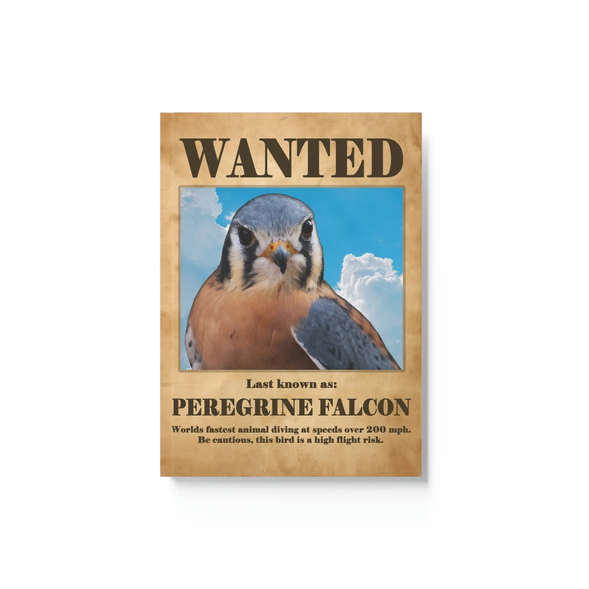 Wanted: Peregrine Falcon Hard Backed Journal