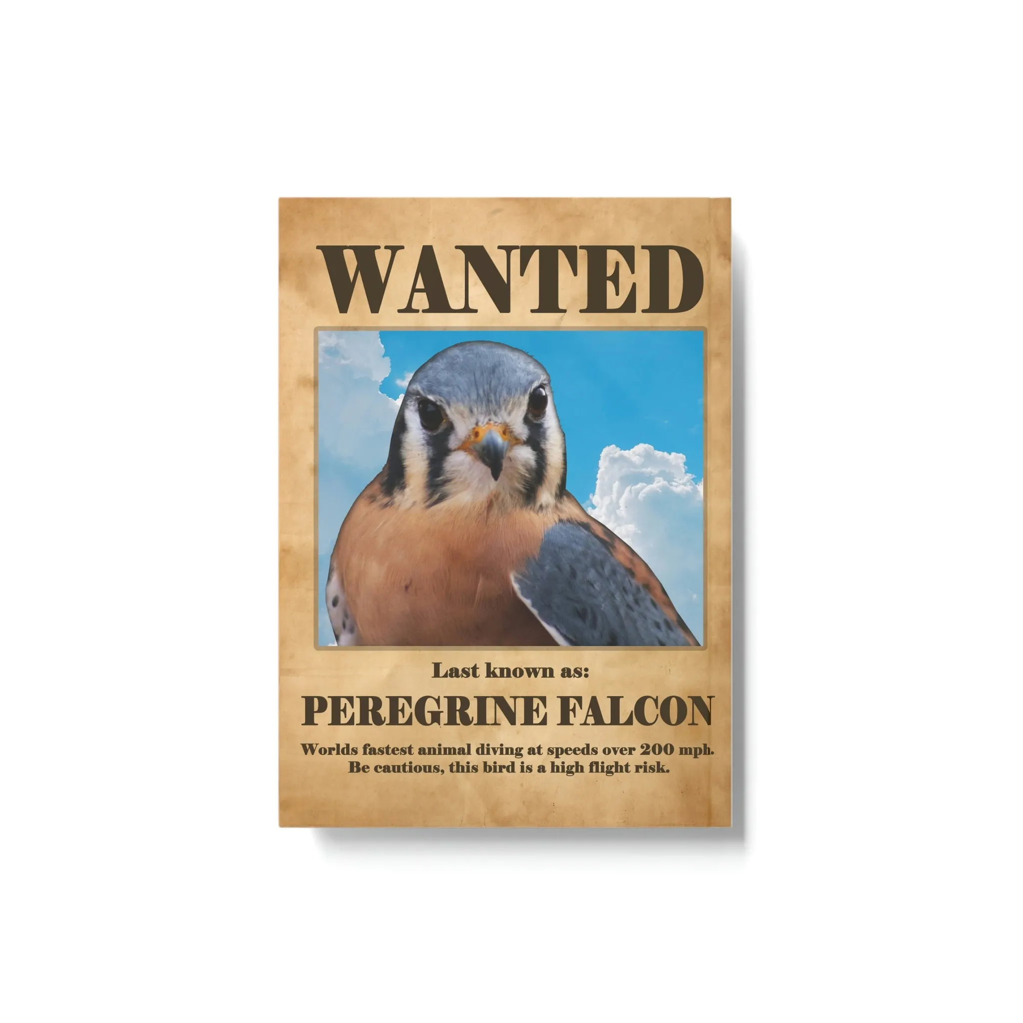 Wanted: Peregrine Falcon Hard Backed Journal